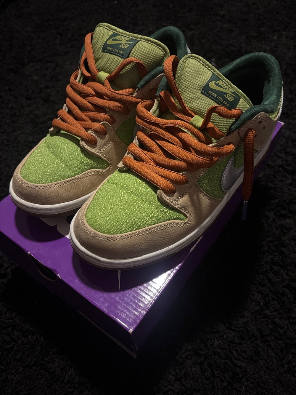 Nike SB Low Top Sneakers in Green, Beige and Orange
